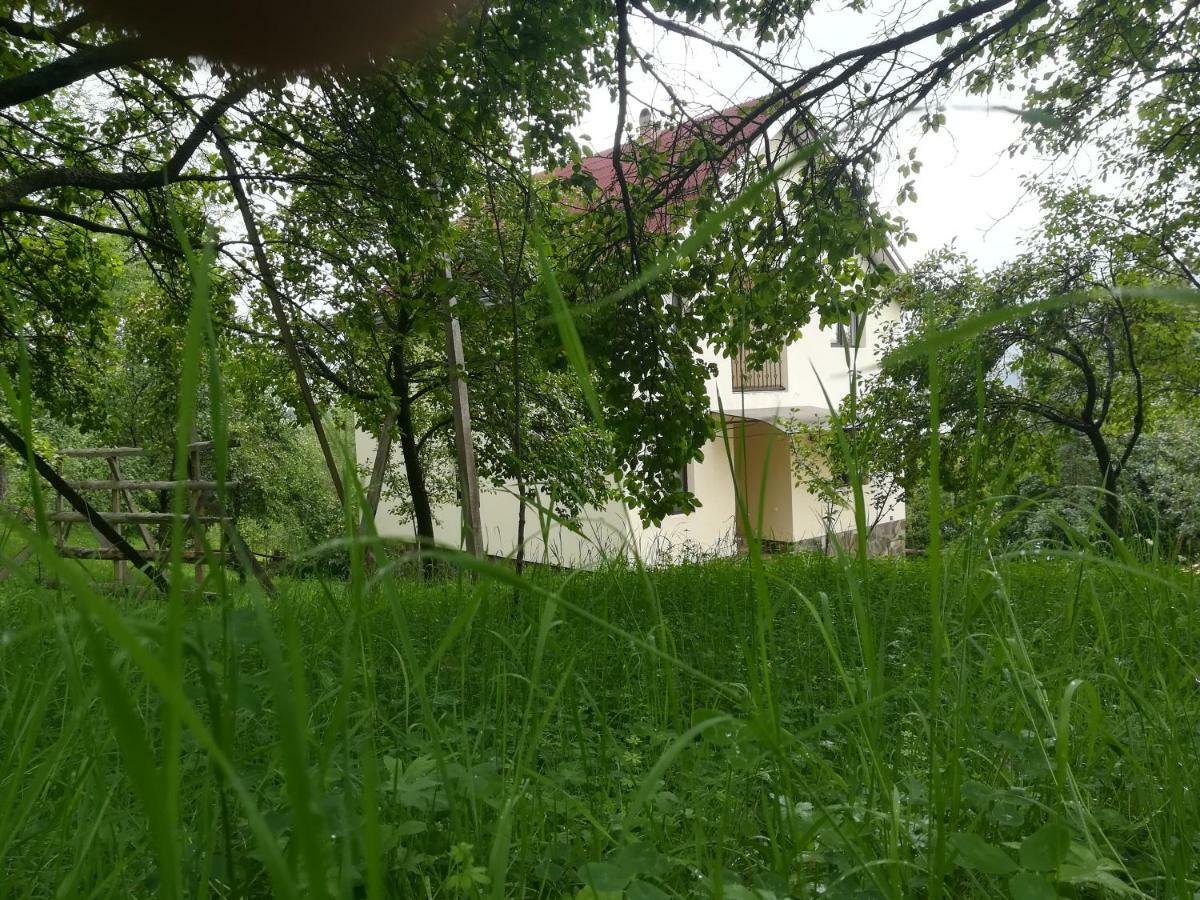 Casa Flutar Villa Moisei Eksteriør billede