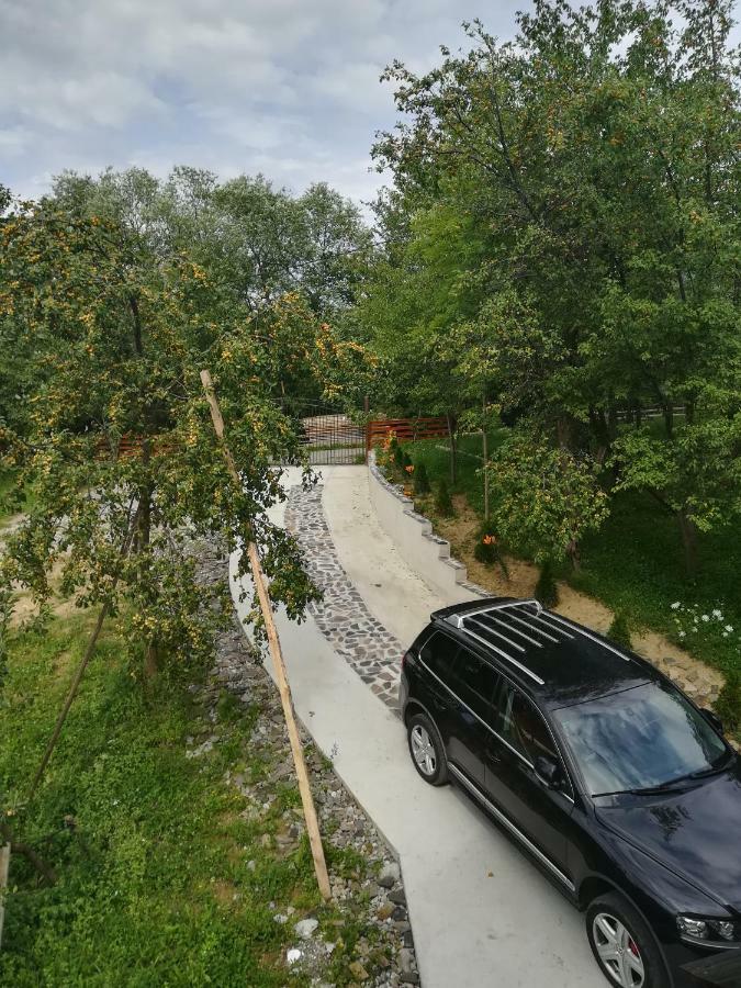 Casa Flutar Villa Moisei Eksteriør billede