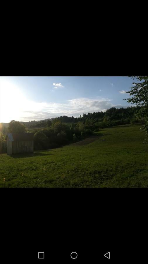 Casa Flutar Villa Moisei Eksteriør billede