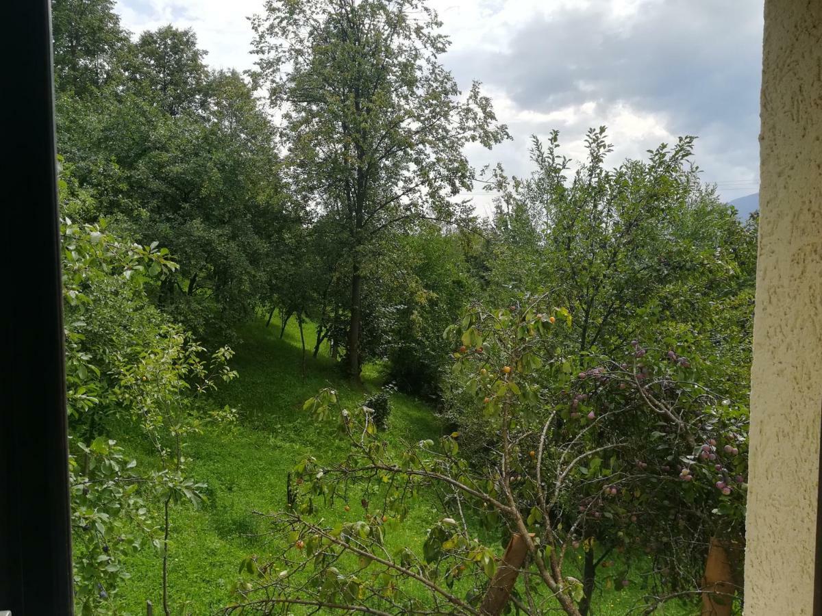 Casa Flutar Villa Moisei Eksteriør billede