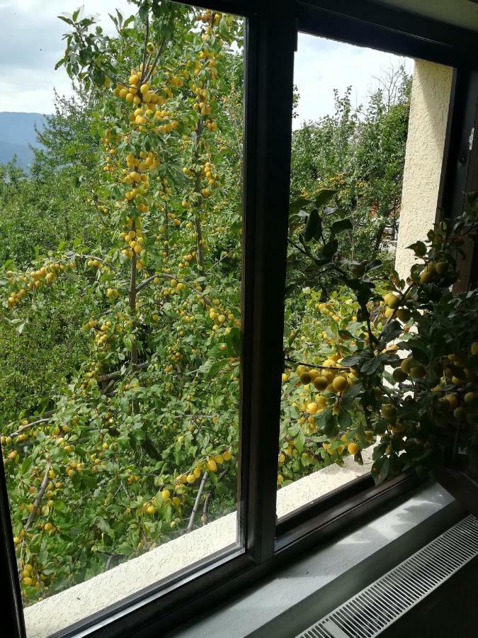 Casa Flutar Villa Moisei Eksteriør billede